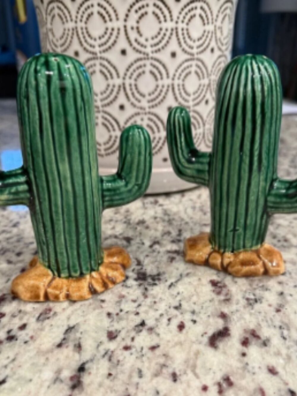 Green Ceramic Cactus Salt & Pepper Shakers